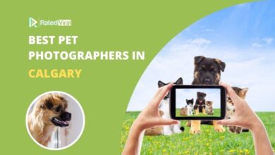 Best Pet Photographers in Calgary