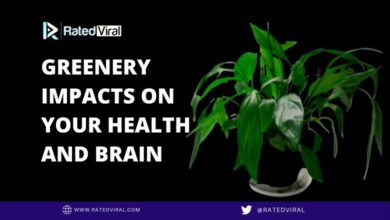 Greenery Impacts On Your Health And Brain