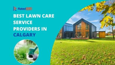 Best Lawn Care Service Providers In Calgary