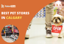 Best Pet stores in Calgary