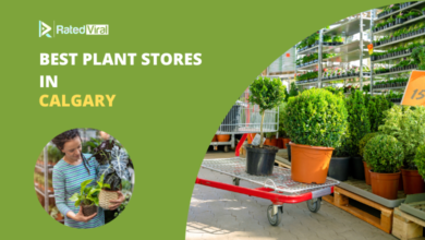 Best Plant Stores in Calgary