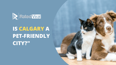 Is Calgary a Pet-friendly City