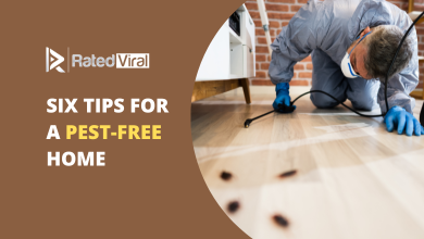 Tips for a Pest-Free Home: Keeping Your Living Space Clean and Healthy