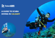 A Guide to Scuba Diving in Calgary