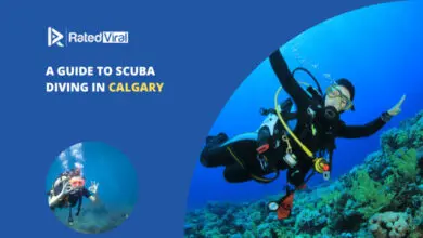 A Guide to Scuba Diving in Calgary